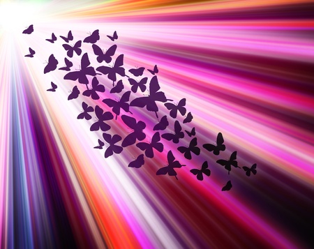 Multicolour background with butterflies, like abstract sunshine  の写真素材