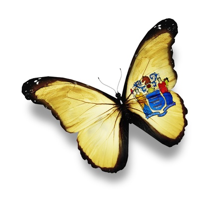New Jersey flag butterfly, isolated on whiteの写真素材