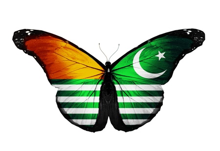Azad Kashmir flag butterfly flying, isolated on white backgroundの写真素材