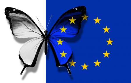 European Union flag butterfly, isolated on flag and white backgroundの写真素材