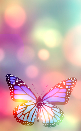 Light natural background with butterflyの写真素材