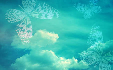 Sky with butterfly as abstract lights backgroundの写真素材