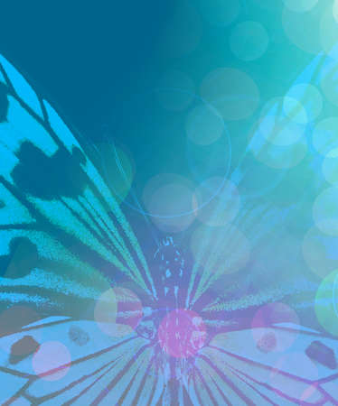 Sunshine with butterfly as abstract lights background