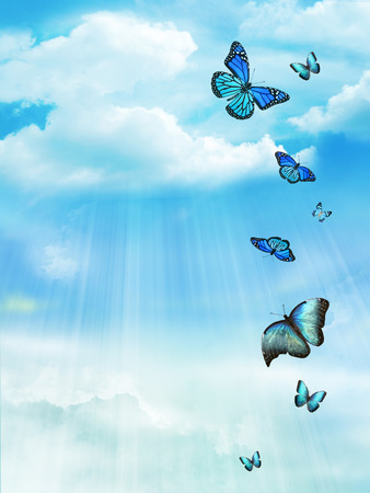 The blue sky with butterflies, backgroundの写真素材