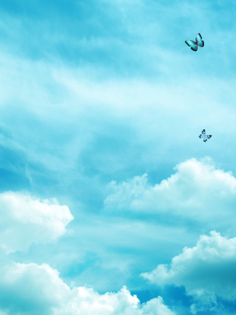 The blue sky with butterflies, backgroundの写真素材