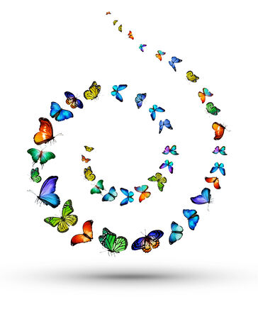 Spiral from butterfliesの写真素材