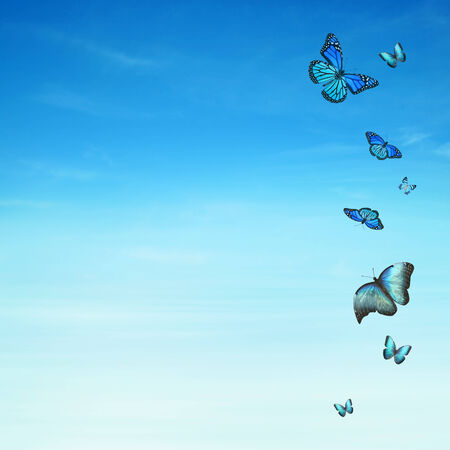 The blue sky with butterflies, backgroundの写真素材