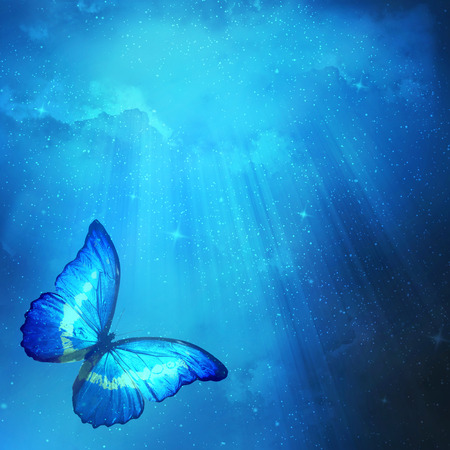 Blue butterfly on dark blue backgroundの写真素材