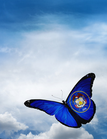 Utah flag butterfly flying on sky backgroundの写真素材