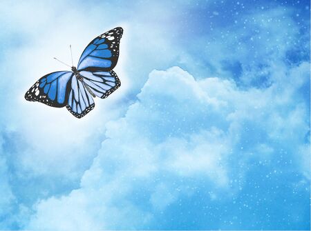 Blue butterfly on sky blue backgroundの写真素材