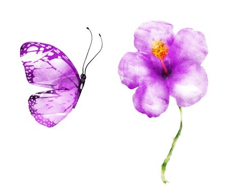 Watercolor flowers , isolated on white backgroundの写真素材