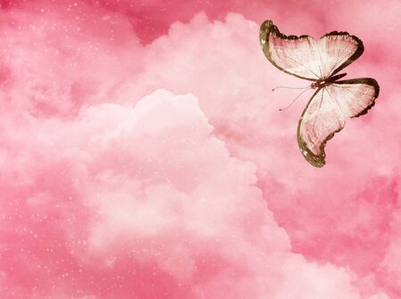 Blue butterfly on sky blue backgroundの写真素材