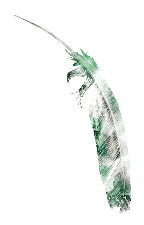 Watercolor feathers, isolated on white backgroundの写真素材