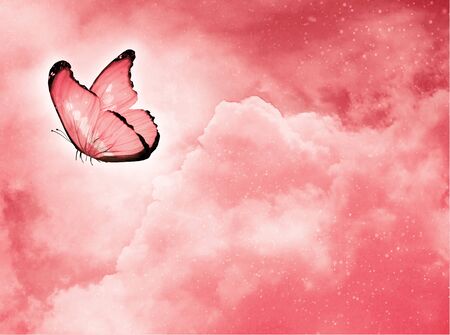 Blue butterfly on sky blue backgroundの写真素材