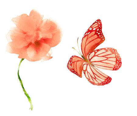 Watercolor flowers , isolated on white backgroundの写真素材