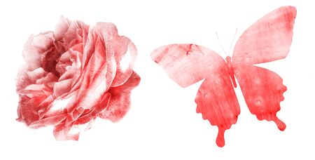 Watercolor natural set on white backgroundの写真素材