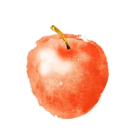 Watercolor apple on whiteの写真素材