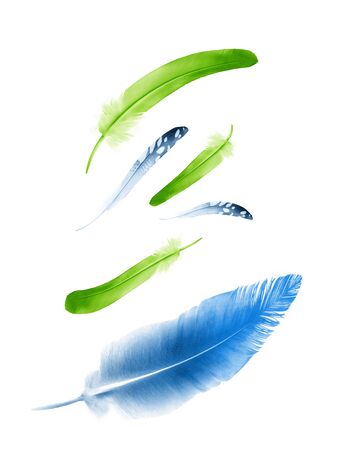 Beautiful color feathers isolated on white backgroundの写真素材