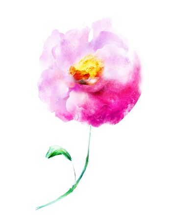 Watercolor flower , isolated on white backgroundの写真素材