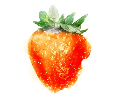 Watercolor strawberry on whiteの写真素材