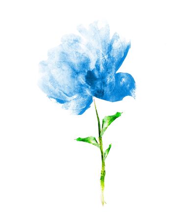 Watercolor flower , isolated on white backgroundの写真素材