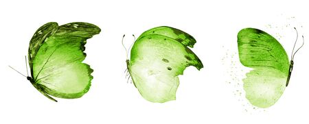 Three watercolor butterflies, isolated on white background