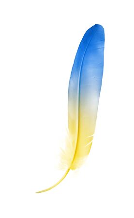 Beautiful color feather isolated on white backgroundの写真素材