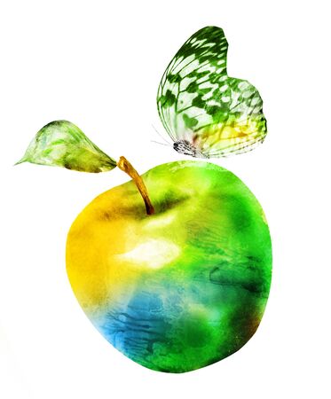 Watercolor apple and butterfly on whiteの写真素材