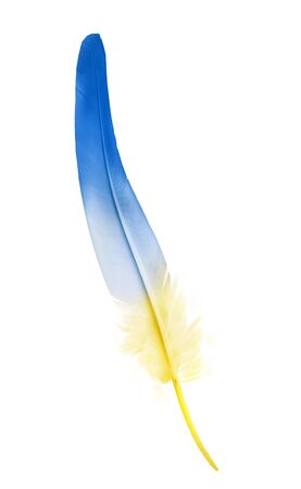 Beautiful color feather isolated on white backgroundの写真素材
