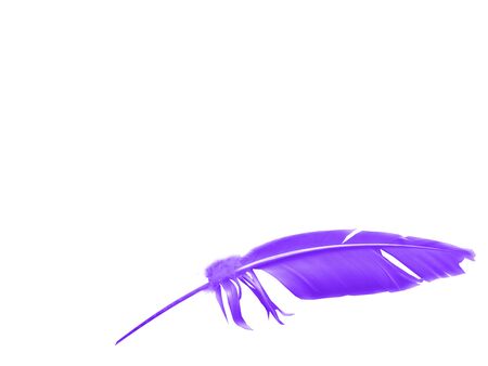 Beautiful color feather isolated on white backgroundの写真素材