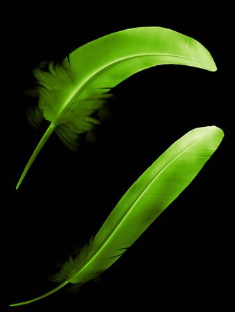 Beautiful color feather isolated on black backgroundの写真素材