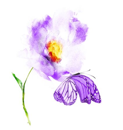 Watercolor flowers , isolated on white backgroundの写真素材