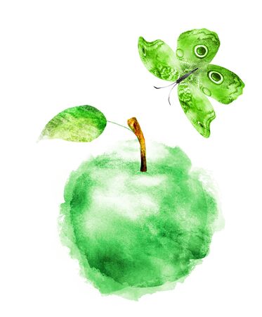 Watercolor apple and butterfly on whiteの写真素材