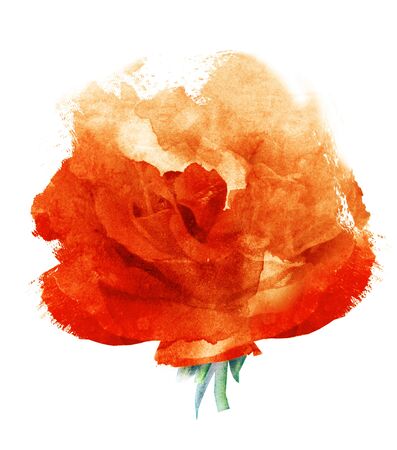 Watercolor flower , isolated on white backgroundの写真素材