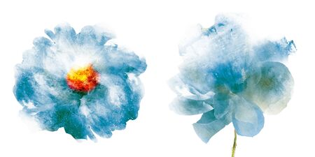 Watercolor flowers , isolated on white backgroundの写真素材