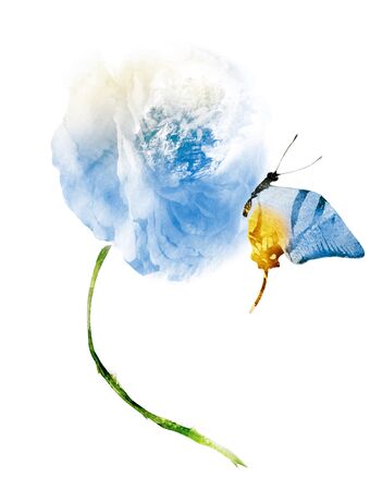 Watercolor flower with butterfly, isolated on white backgroundの写真素材