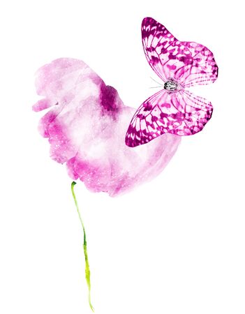 Watercolor flower with butterfly, isolated on white backgroundの写真素材