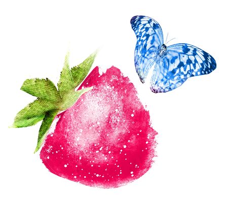Watercolor strawberry with butterfly on whiteの写真素材
