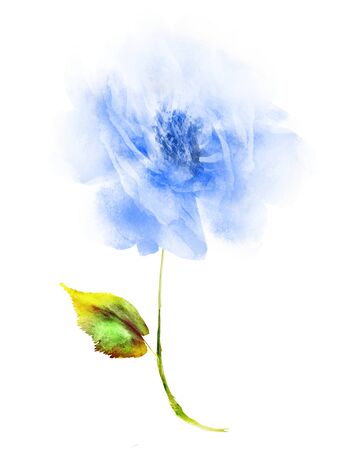 Watercolor flower , isolated on white backgroundの写真素材