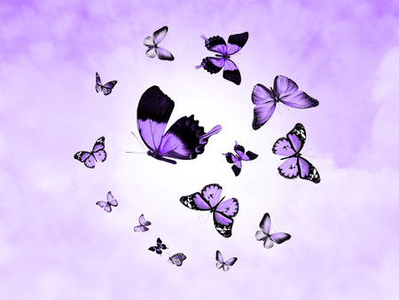 Color sky with clouds and butterflies as backgroundの写真素材