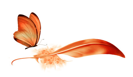 Beautiful color feather and butterfly isolated on white backgroundの写真素材