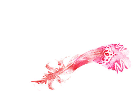 Watercolor feathers, isolated on white backgroundの写真素材