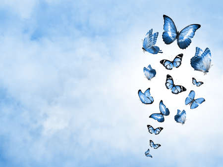 Color sky with clouds and butterflies as backgroundの写真素材