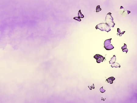 Color sky with clouds and butterflies as backgroundの写真素材