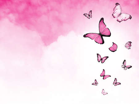 Color sky with clouds and butterflies as backgroundの写真素材