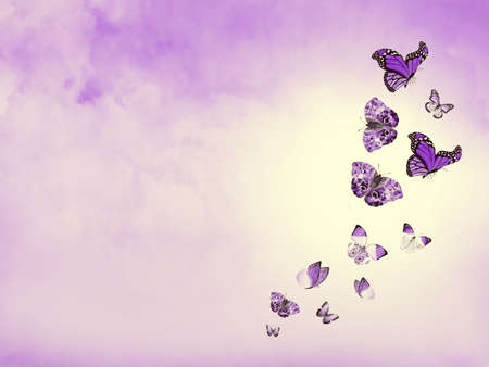 Color sky with clouds and butterflies as backgroundの写真素材