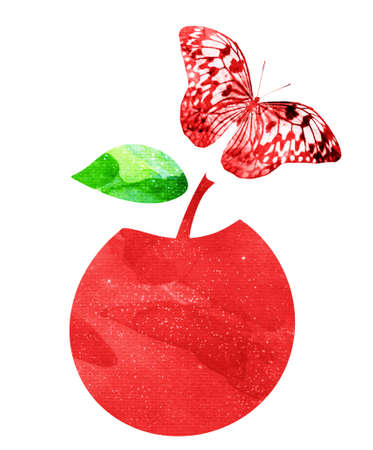 Watercolor apple and butterfly on whiteの写真素材
