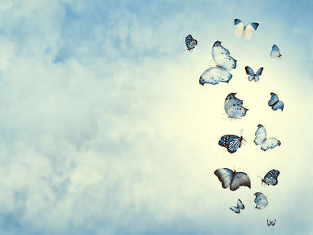Color sky with clouds and butterflies as backgroundの写真素材