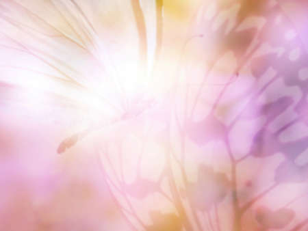 Natural background with natural butterflyの写真素材