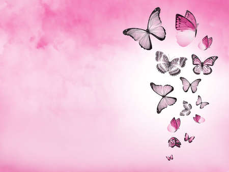 Color sky with clouds and butterflies as backgroundの写真素材
